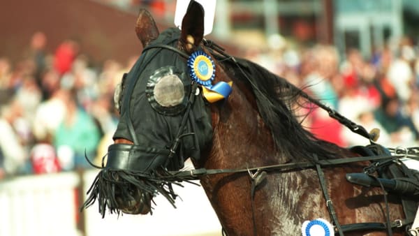 Foto: Petri Johansson