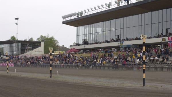 Foto: TOMMY ANDERSSON / ALN / TR BILD