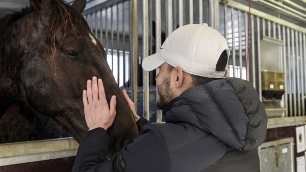 Foto: LARS JAKOBSSON / TR BILD