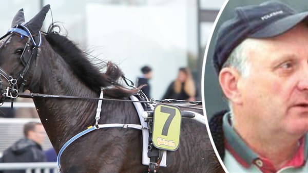 Foto: TR BILD, ASKÖ STUTERI