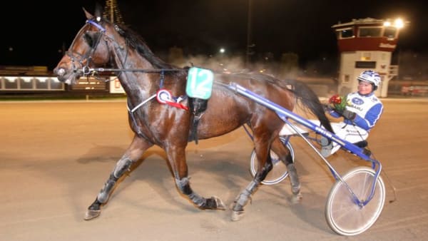 Foto: MICKE GUSTAFSSON/ALN