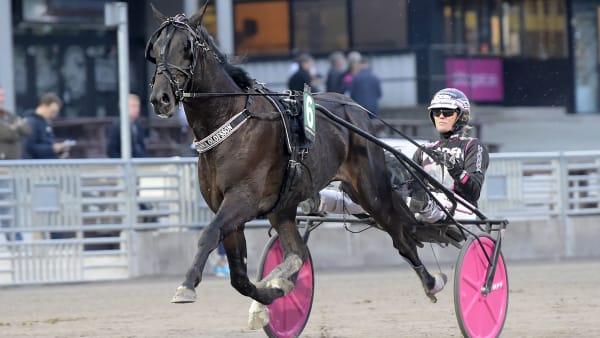 Foto: LARS JAKOBSSON / TR BILD