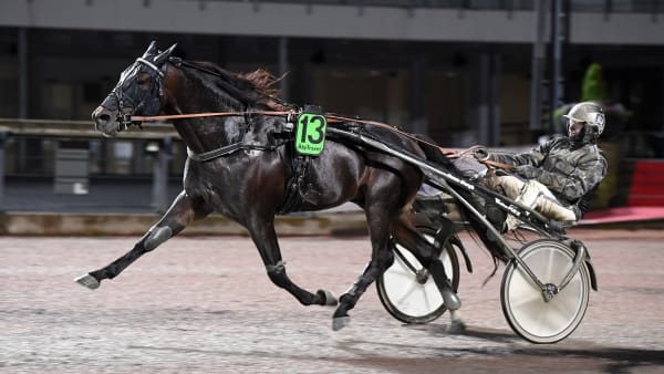 Foto: MALIN ALBINSSON / TR BILD