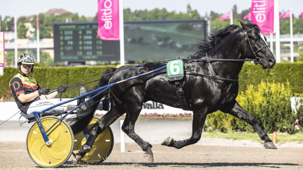 Foto: LENA EMMOTH / TR BILD