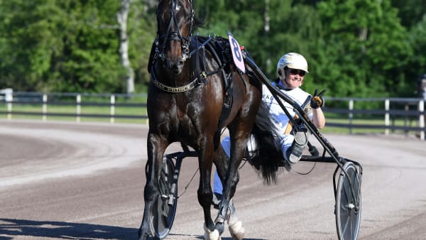 Foto: MALIN ALBINSSON / TR BILD