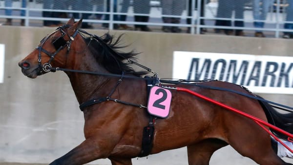 Foto: Martin Langels/ALN