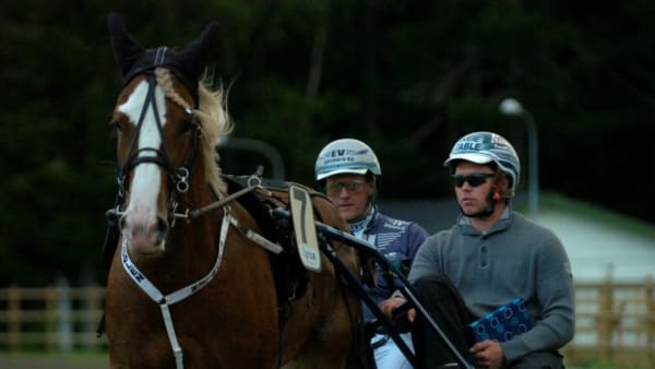 Foto: THOMAS GUSTAFSSON/ALN