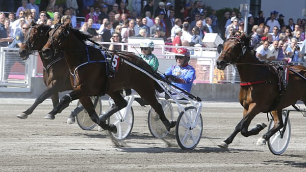 Foto: MICKE GUSTAFSSON