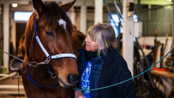 Foto: Suvad Mrkonjic