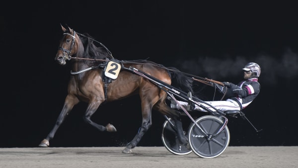 Foto: MIKAEL ROSENQUIST / TR BILD