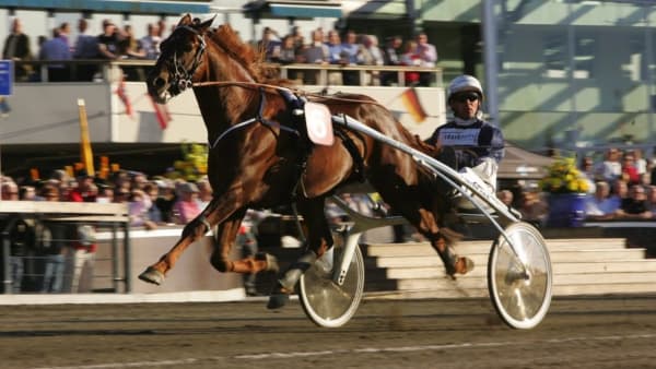 Foto: Anna Gerdmarker/TR Bild