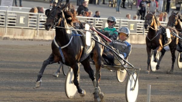 Foto: MARTIN LANGELS/ALN