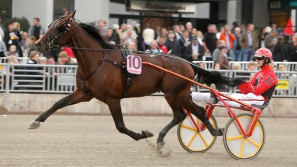 Foto: MICKE GUSTAFSSON/ALN