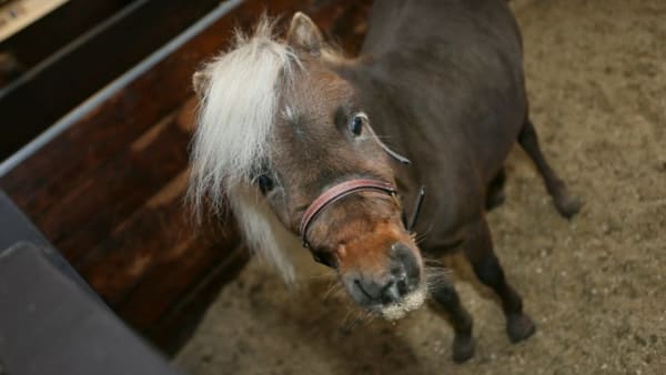 Foto: JEANNIE KARLSSON