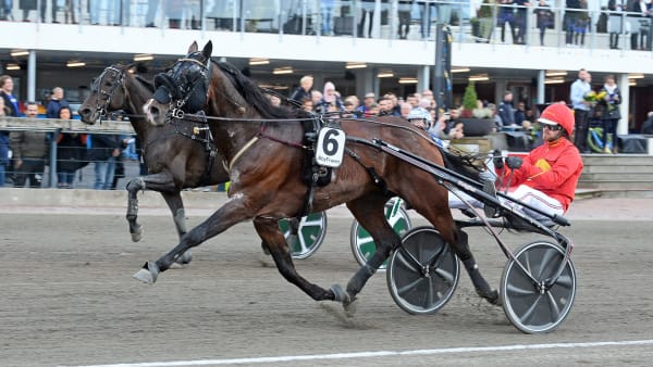 Foto: MALIN ALBINSSON / TR BILD