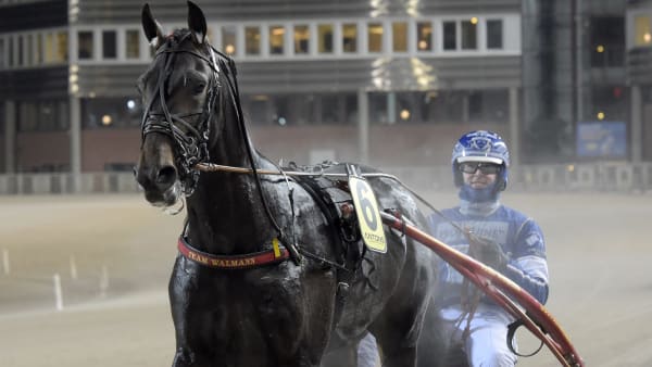 Foto: LARS JAKOBSSON / TR BILD