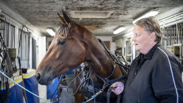 Foto: JENNY REHNMAN / TR BILD