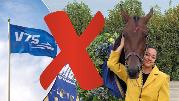 Foto: MONTAGE/TR BILD