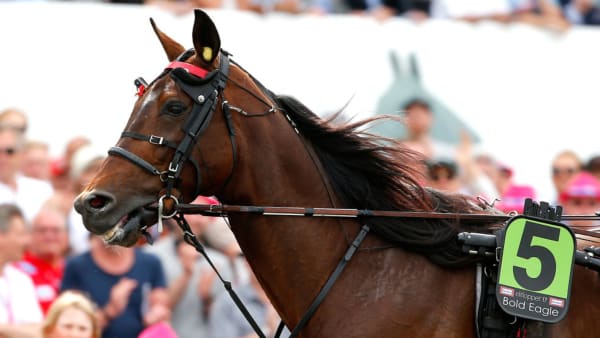 Foto: Micke Gustafsson