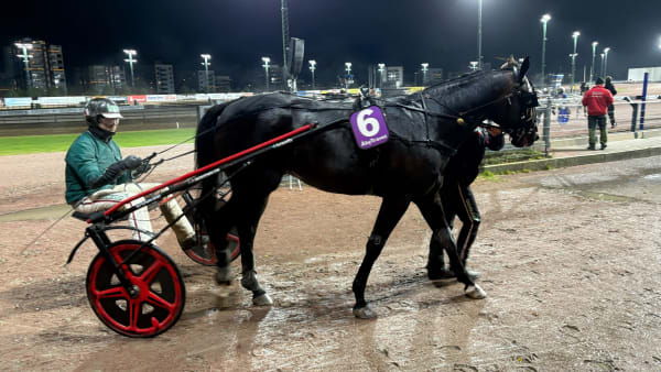 Foto: EMIL PERSSON/TR BILD.