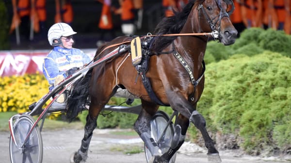 Foto: MARTIN LANGELS/ALN