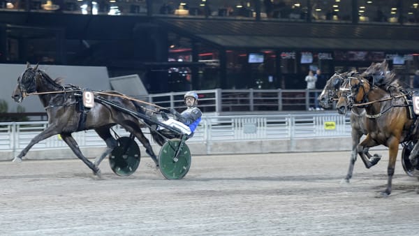 Foto: LARS JAKOBSSON / TR BILD