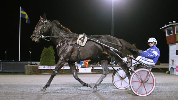 Foto: MARIA HOLMÉN / TR BILD