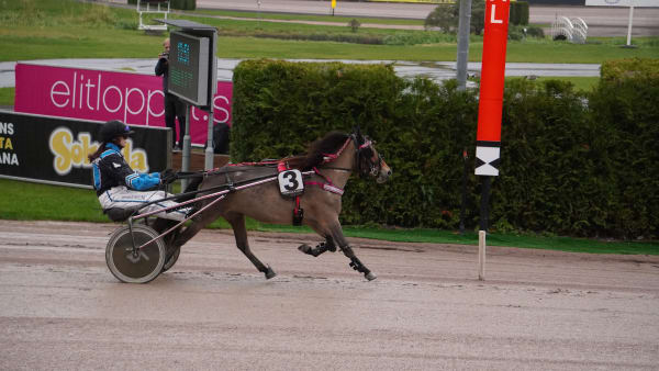 Foto:  Malin Heidenberg/Solvalla