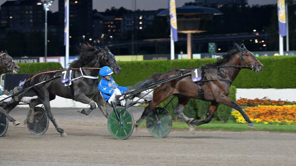 Foto: LARS JAKOBSSON / TR BILD