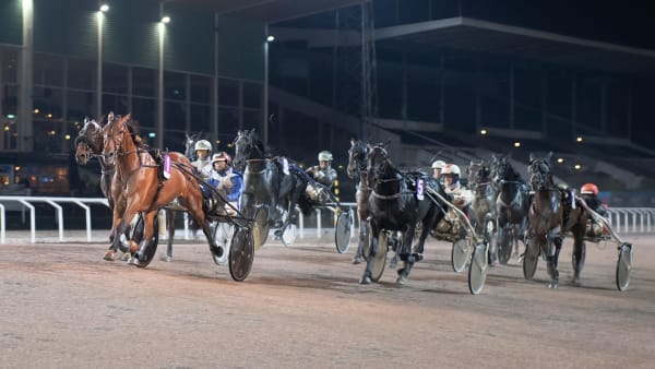 Foto: MIKAEL ROSENQUIST / TR BILD