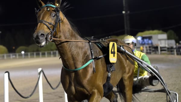 Foto: LARS JAKOBSSON / TR BILD