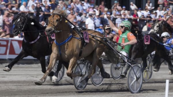 Foto: Anders Kongsrud/TR Bild