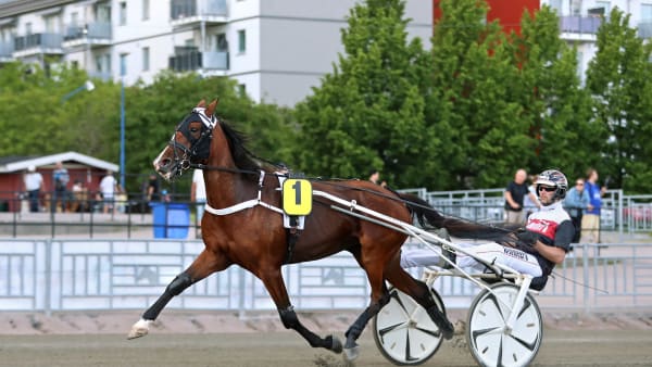 Foto: MARIA HOLMÉN / TR BILD