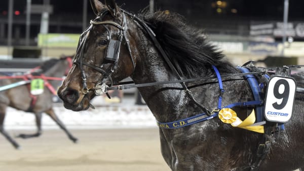 Foto: LARS JAKOBSSON / TR BILD