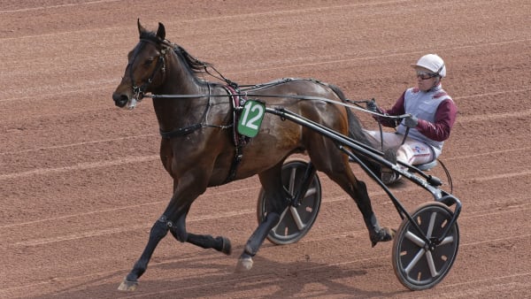 Foto: JEAN-LUC LAMAÉRE/LE TROT