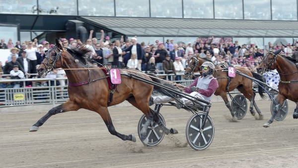 Foto: LARS JAKOBSSON / TR BILD