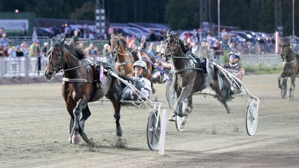 Foto: LARS JAKOBSSON / TR BILD