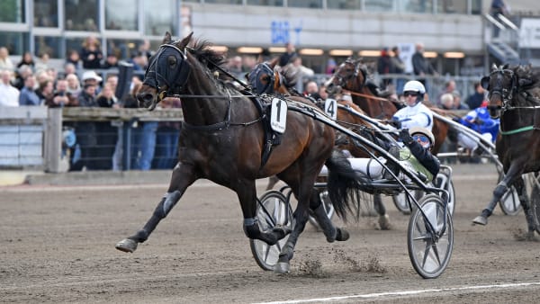 Foto: MALIN ALBINSSON / TR BILD