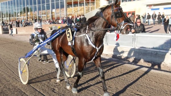 Foto: MICKE GUSTAFSSON/ALN