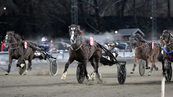 Foto: LARS JAKOBSSON / TR BILD