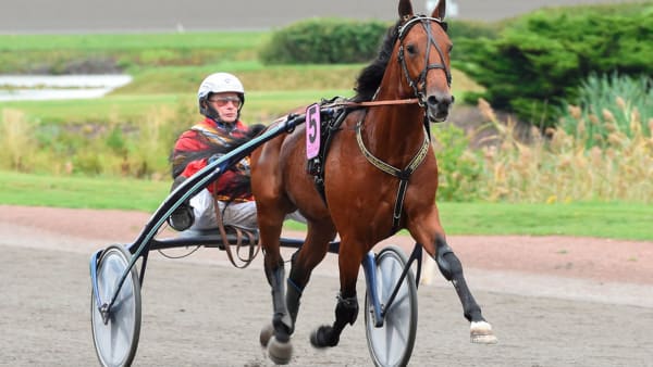 Foto: Lars Jakobsson/TR BILD