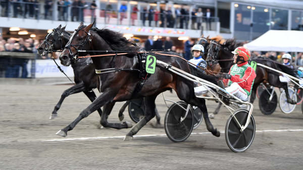 Foto: MALIN ALBINSSON / TR BILD