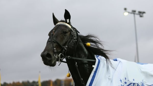 Foto: JEANNIE KARLSSON