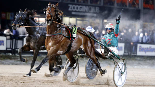 Foto: MICKE GUSTAFSSON / TR BILD