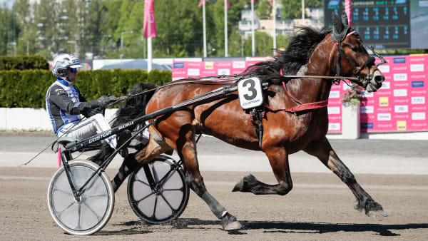 Foto: LENA EMMOTH / TR BILD