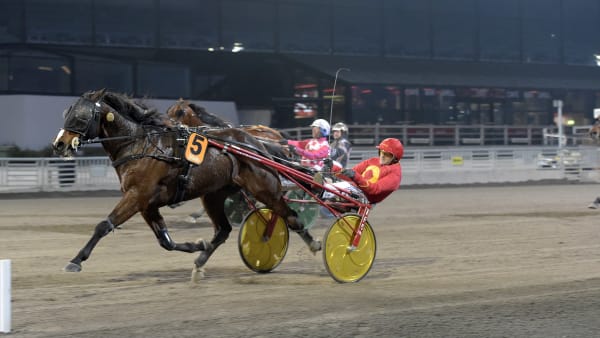 Foto: LARS JAKOBSSON / TR BILD