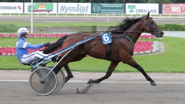 Foto: CHARLOTTE HÄGG