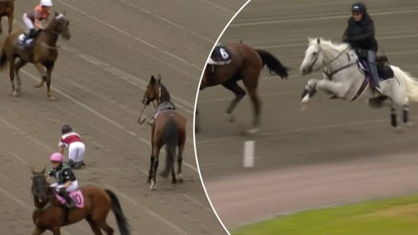 Foto: SKÄRMBILD/ATG.SE