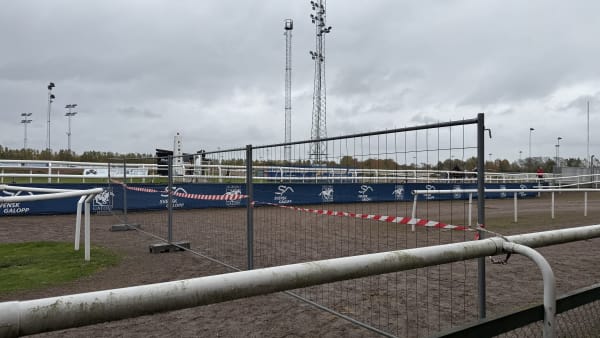 Foto: Rickard Hansson/TR BILD