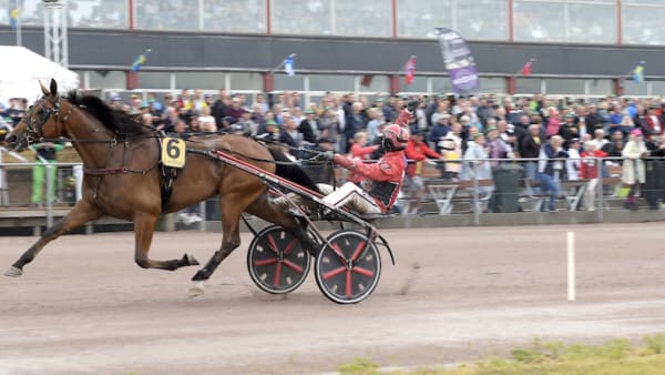 Foto: Lars Jakobsson/TR Bild